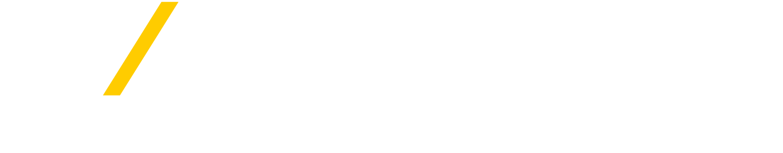 ADVANCE AUTO PARTS INC logo